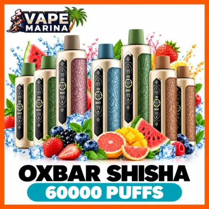 OXBAR Shisha 60000 puffs 6mg shisha disposable vapes with Eco and Boost display